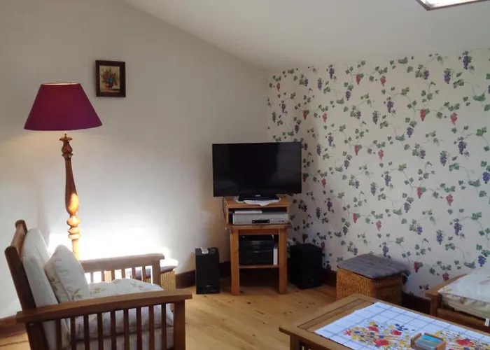 度假居 Familial A Avec Piscine Et Animaux Admis - Fr-1-496-21