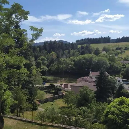 Ferienhaus Familial A Avec Piscine Et Animaux Admis - Fr-1-496-21 Saint-Haon-le-Châtel