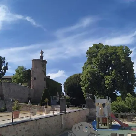 Familial A Avec Piscine Et Animaux Admis - Fr-1-496-21 Saint-Haon-le-Châtel