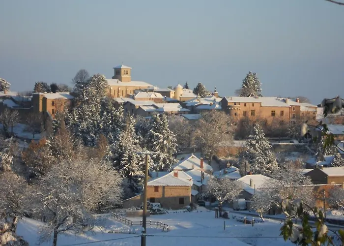 Casa de Férias Familial à Saint-haon-le-châtel Avec Piscine Et Animaux Admis - Fr-1-496-21 *